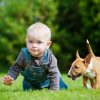 little boy and a puppy