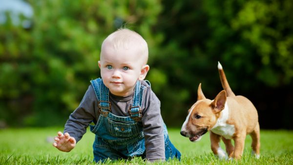 little boy and a puppy