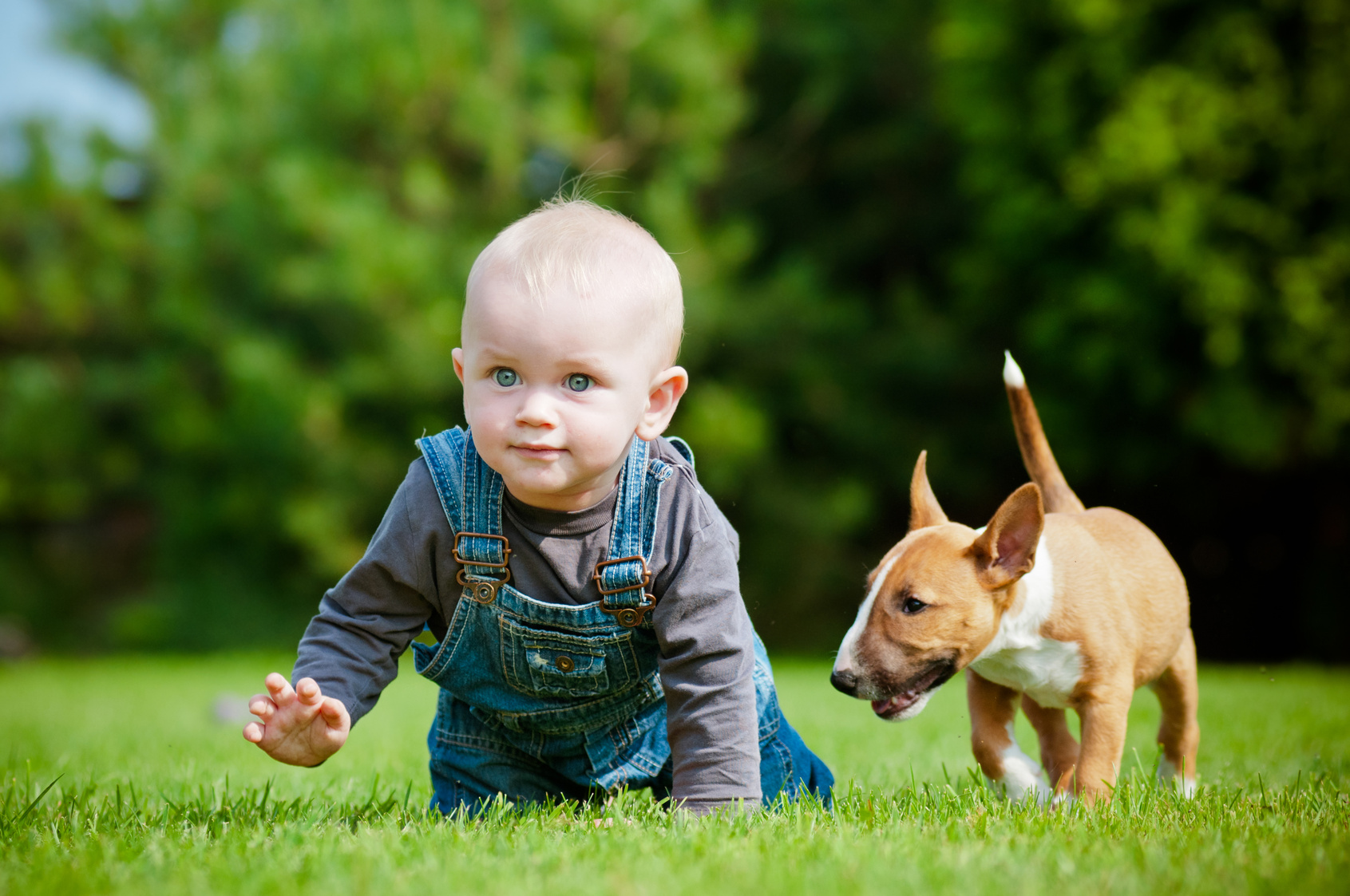 little boy and a puppy