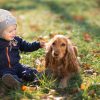 Boy with Dog