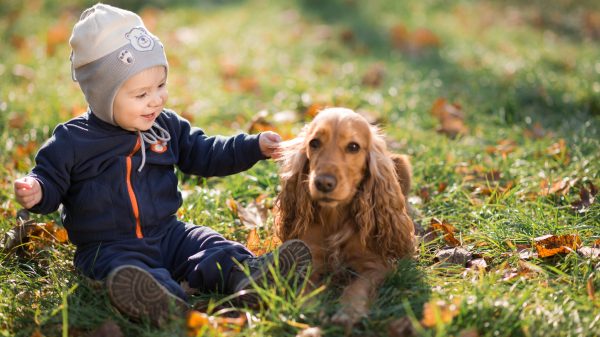 Boy with Dog