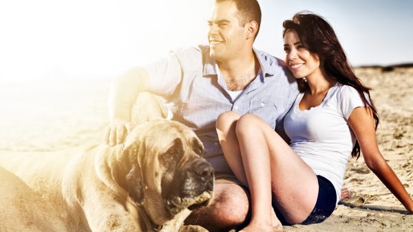 Couple with pet dog