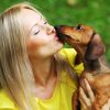 woman dachshund in her arms