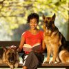 Woman is sitting on a bench with two german shepherds