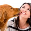 Dog kissing a woman