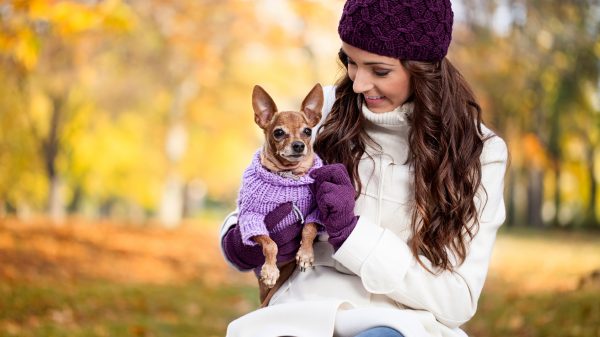 Cute woman with her Miniature Pinscher