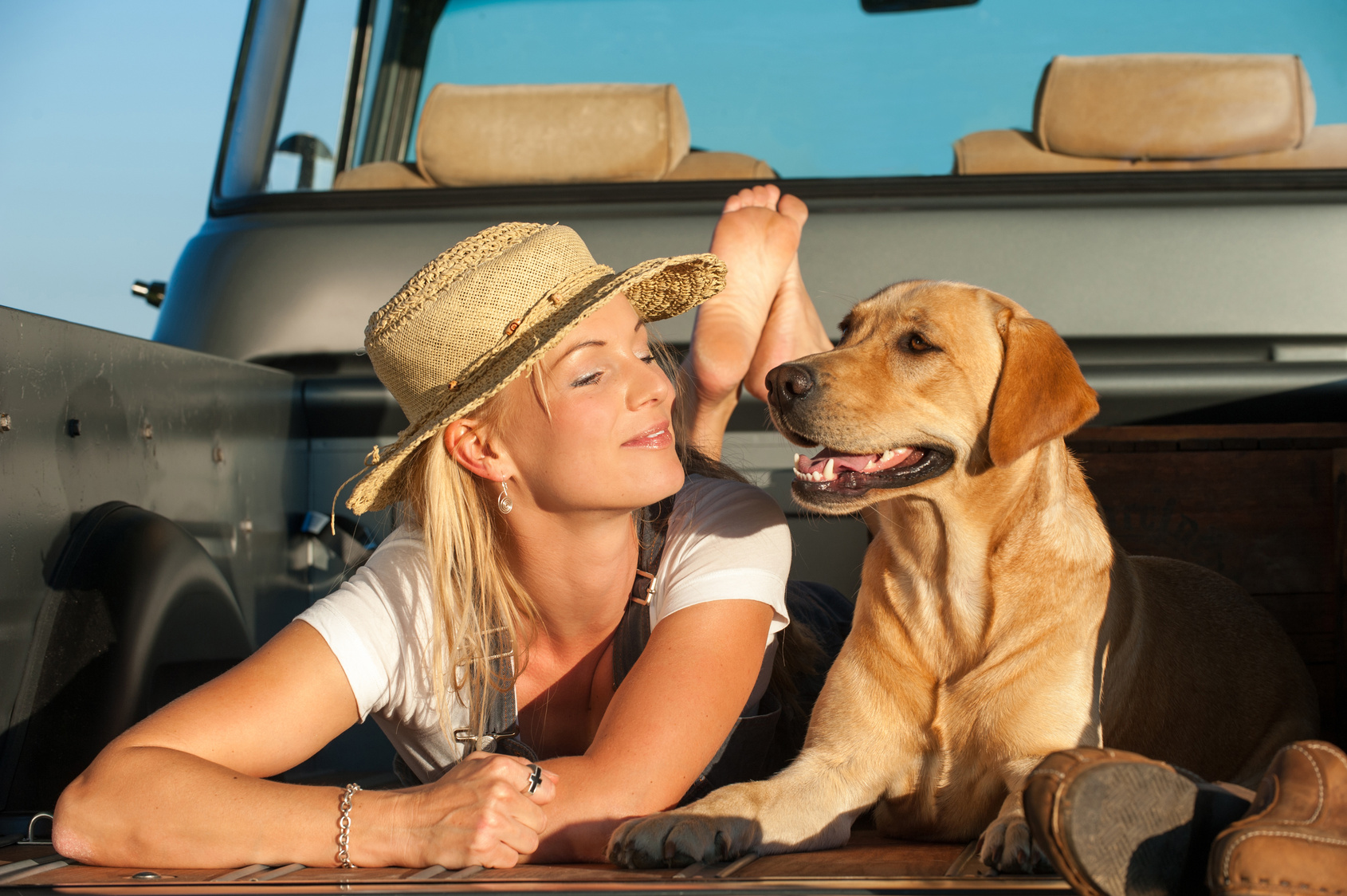 Labrador