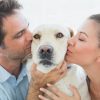 Pet Parents or Pet Owners