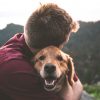 Rescue Dog