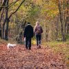 Sincere Pet Parents